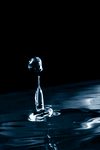 pic for drop 